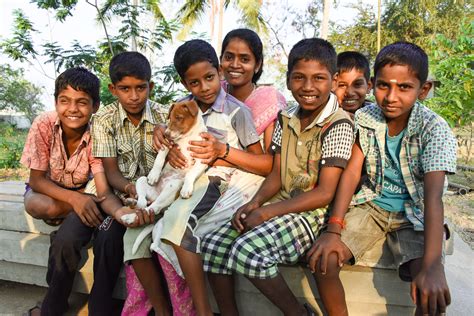 organizations that help orphans|Miracle Foundation .